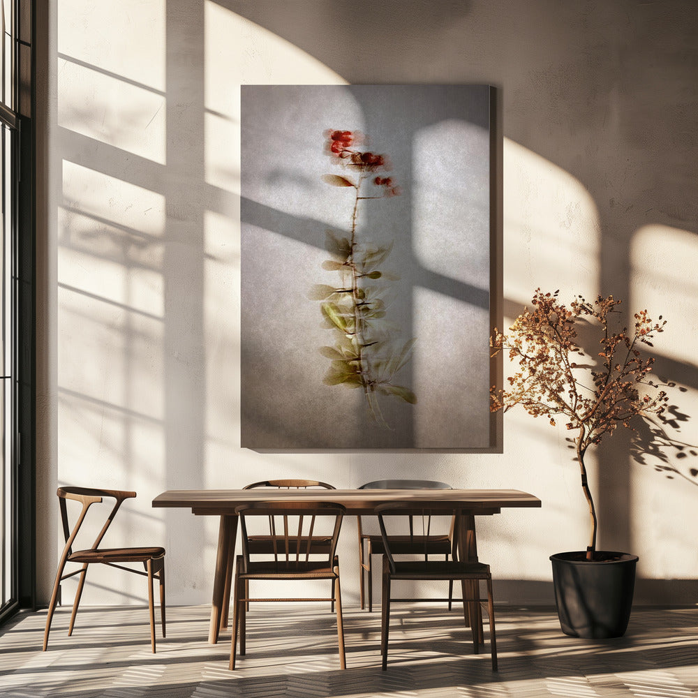 L'art mural en pleine lumière