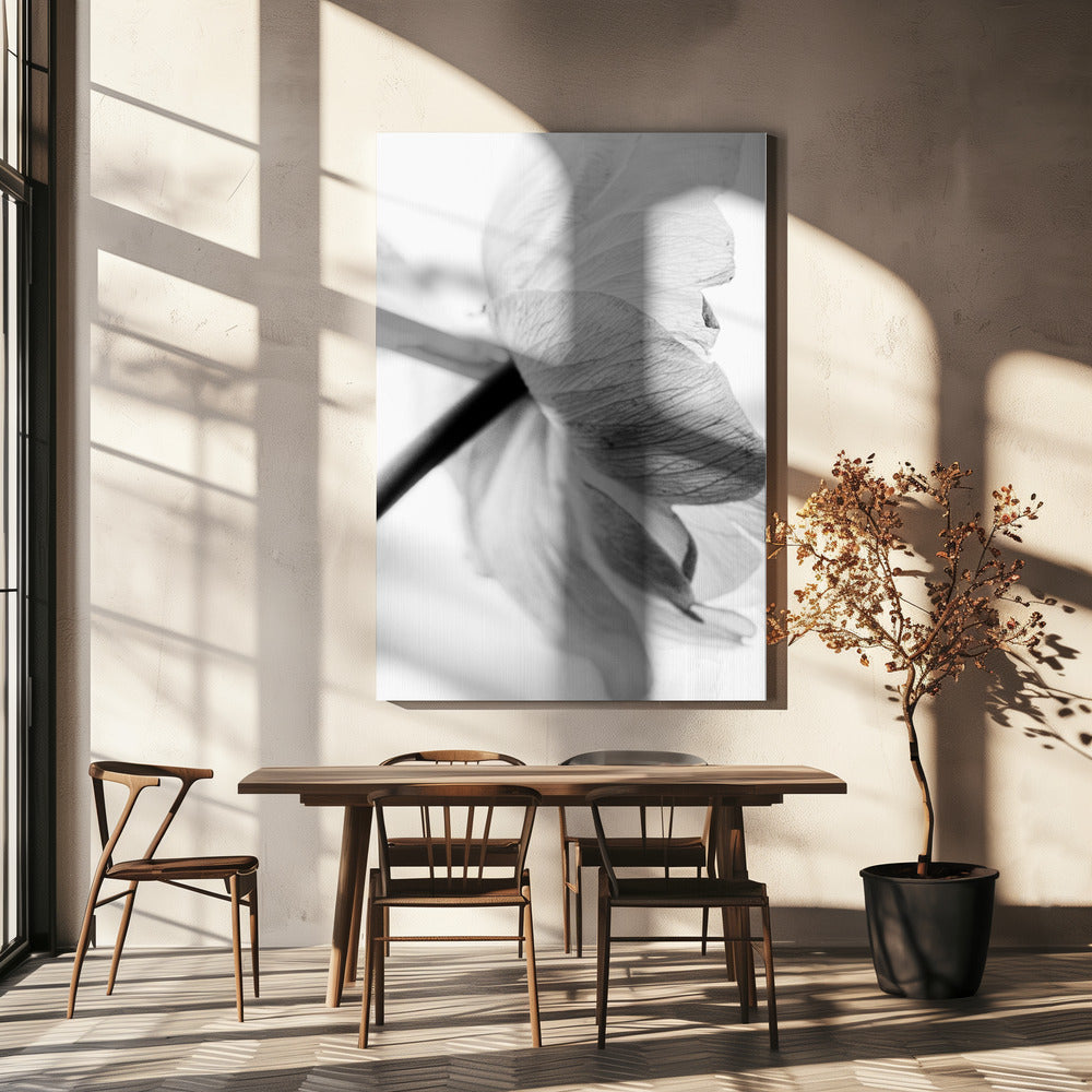 Décoration murale, toile imprimée fleur épanouie