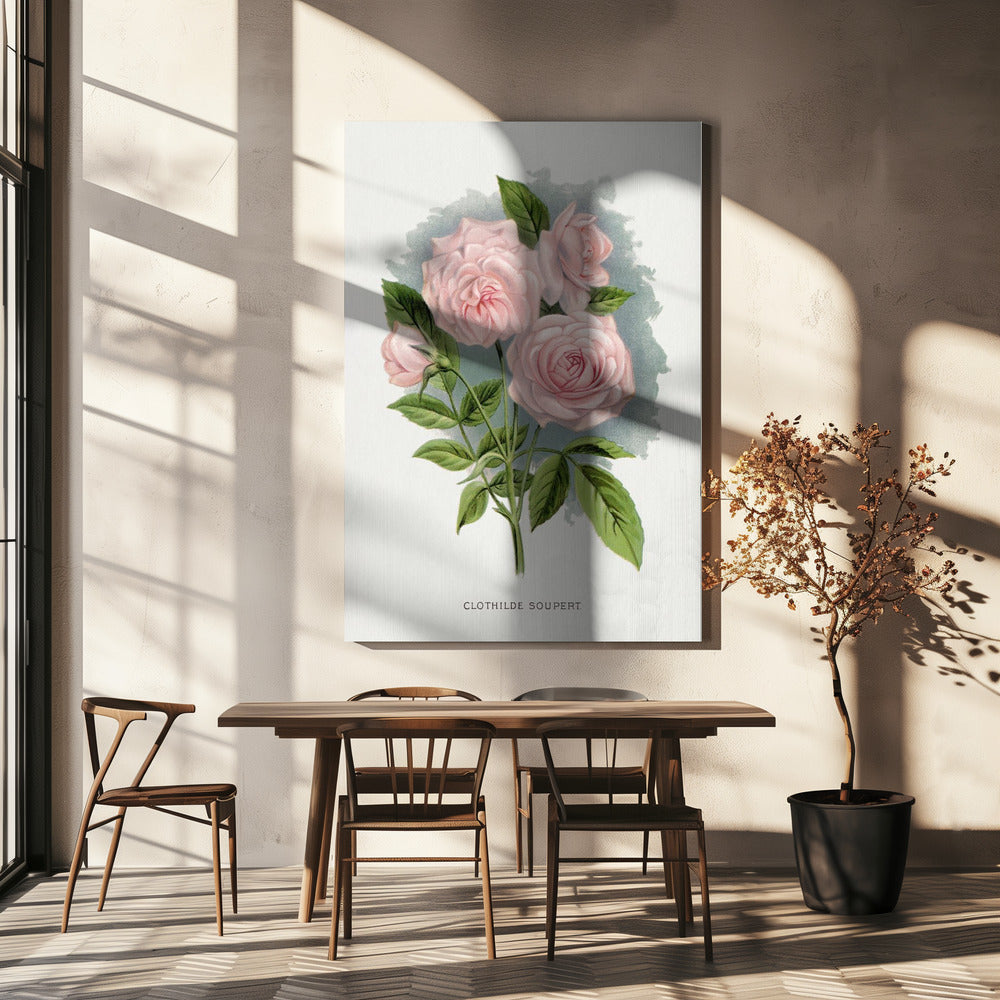 Wall Art Pink Rose, Clothilde Soupert Lithograph