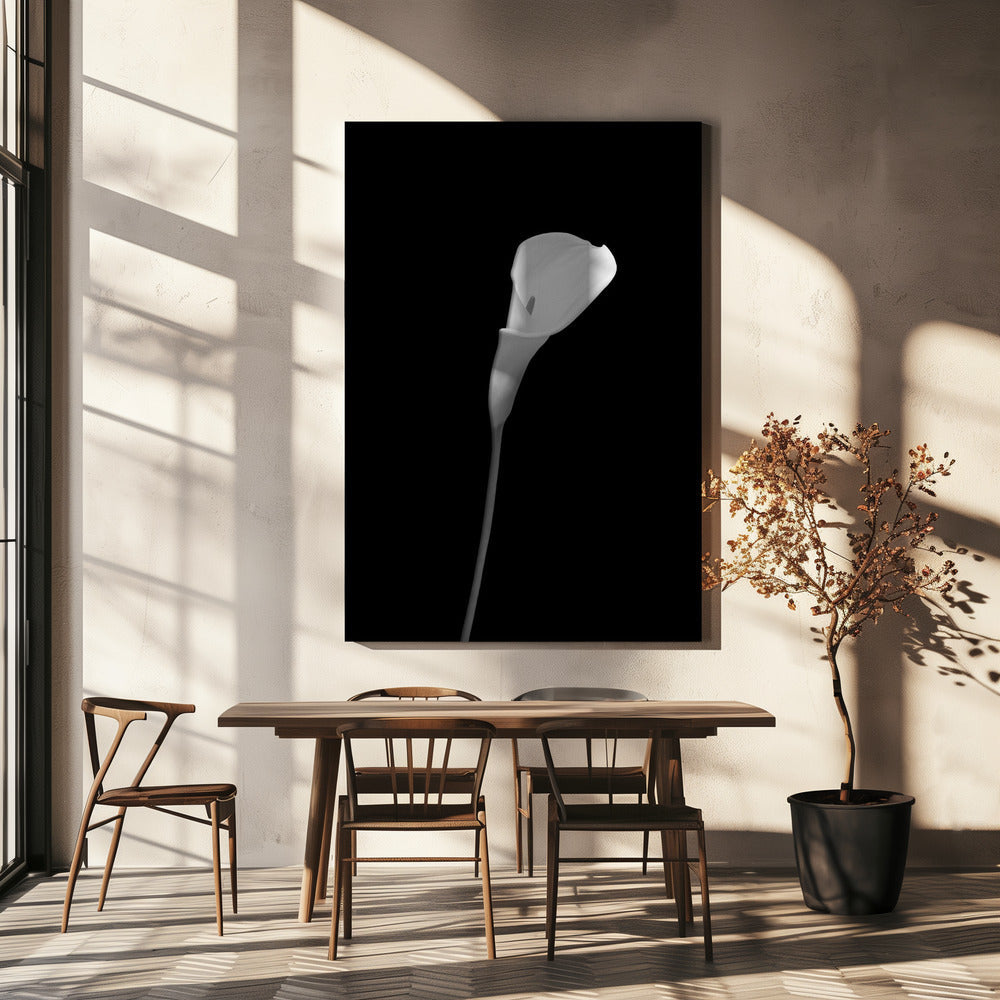 Décoration murale Calla | motif sombre