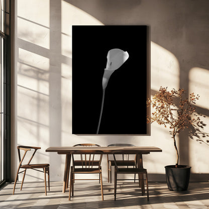 Décoration murale Calla | motif sombre