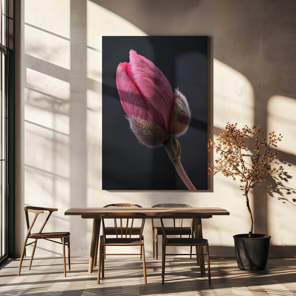 Art mural Tulipe Rose 1