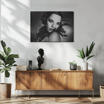 Art mural Les plumes noires