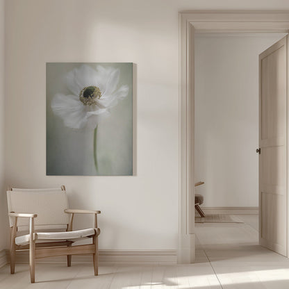 Célibataire blanc