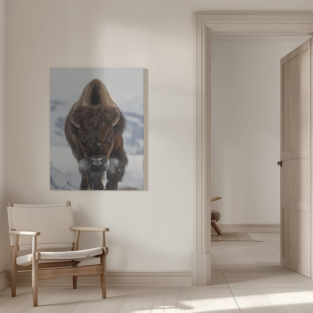 Décoration murale Bison En approche