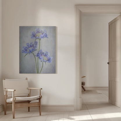 Scabieuse d'Art Mural