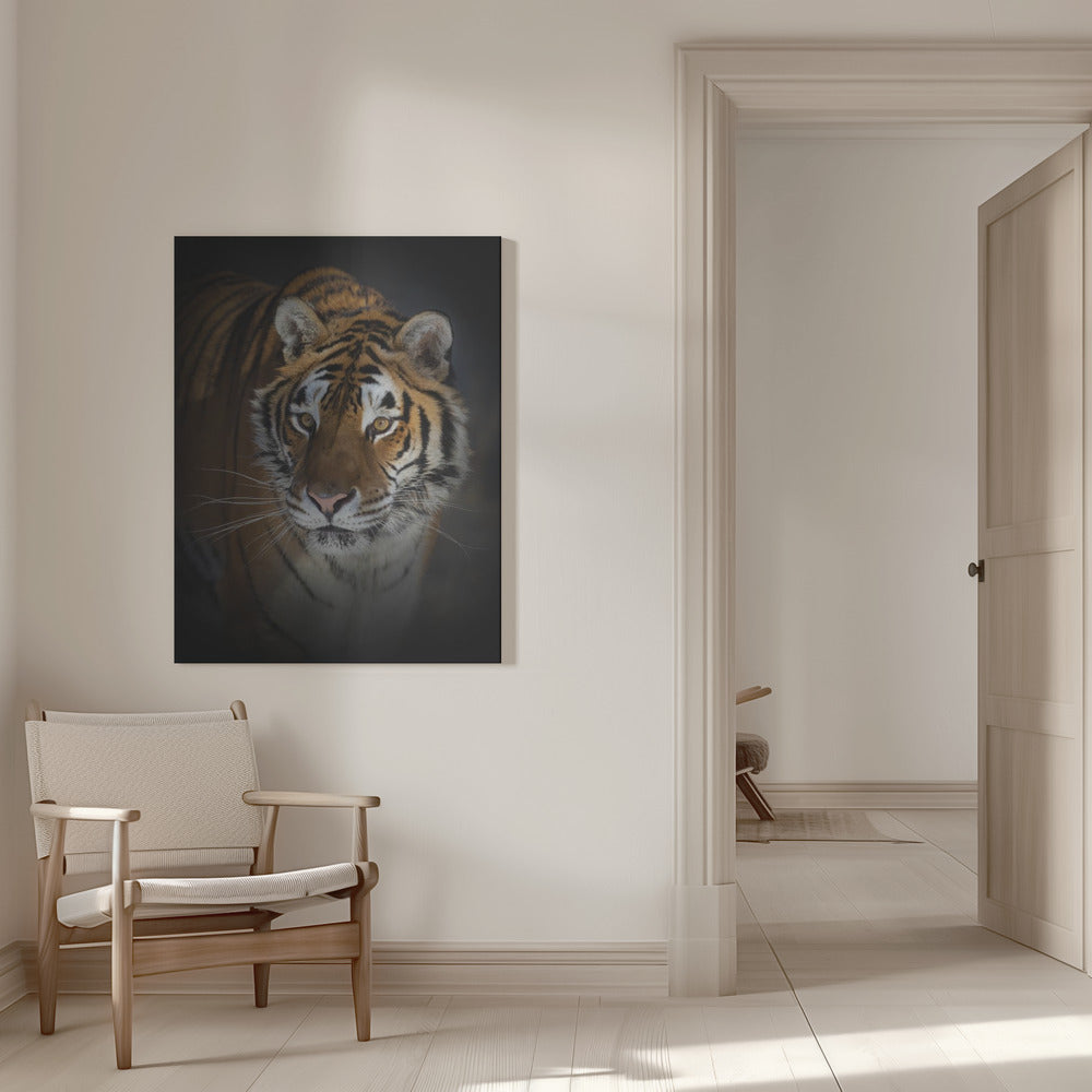 Décoration murale Portrait d'un tigre de Sibérie