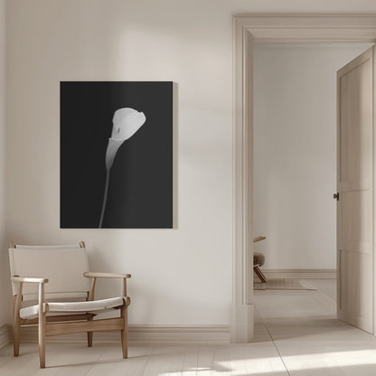 Décoration murale Calla | motif sombre