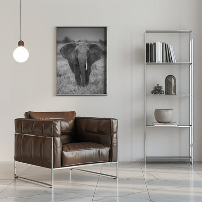 SINGULARITÉ