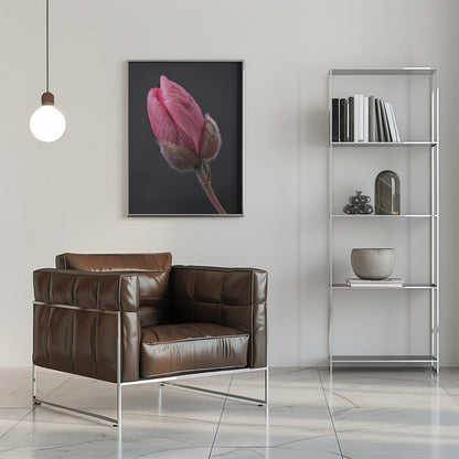 Art mural Tulipe Rose 1