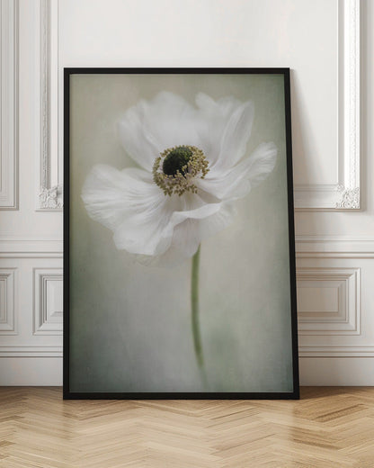Célibataire blanc
