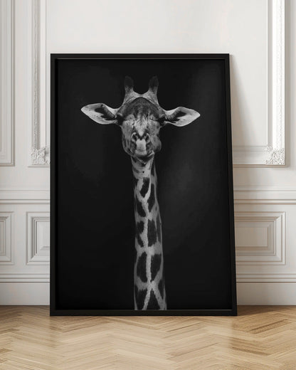 Décoration murale : Portrait de girafe
