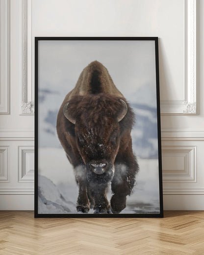 Décoration murale Bison En approche
