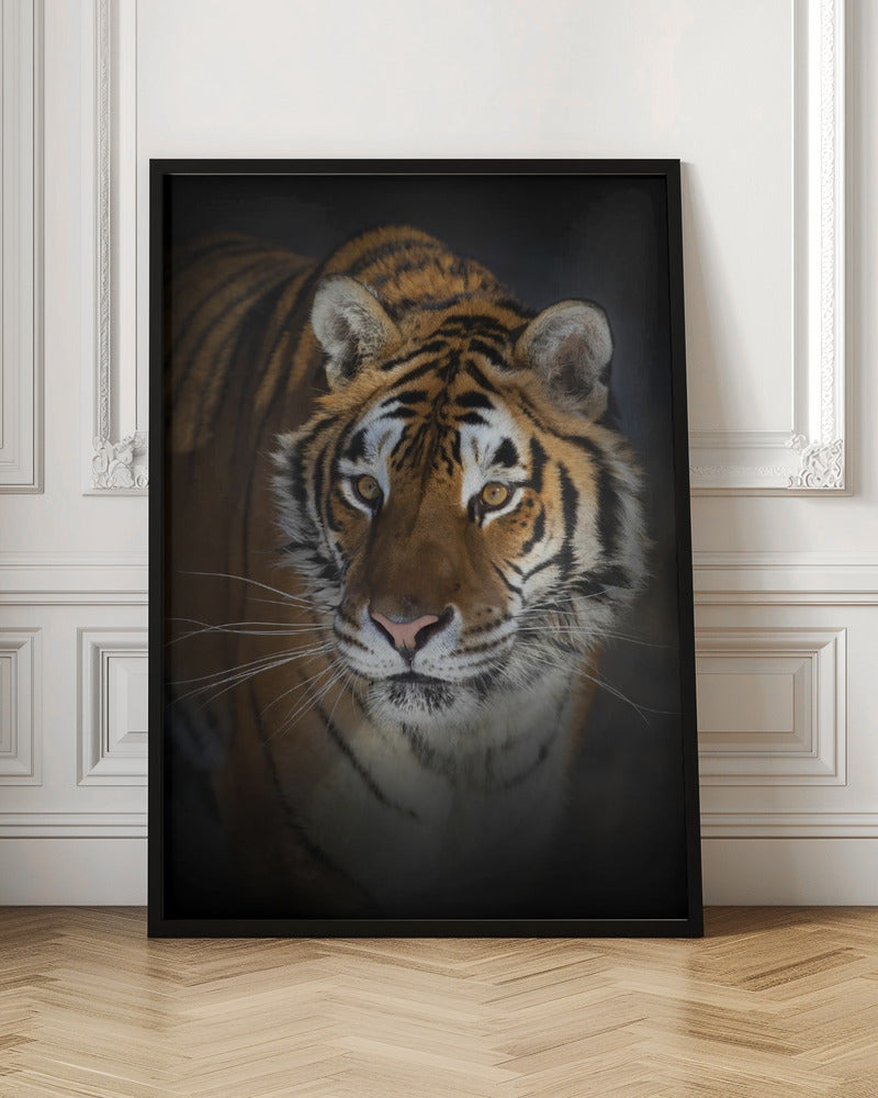 Décoration murale Portrait d'un tigre de Sibérie