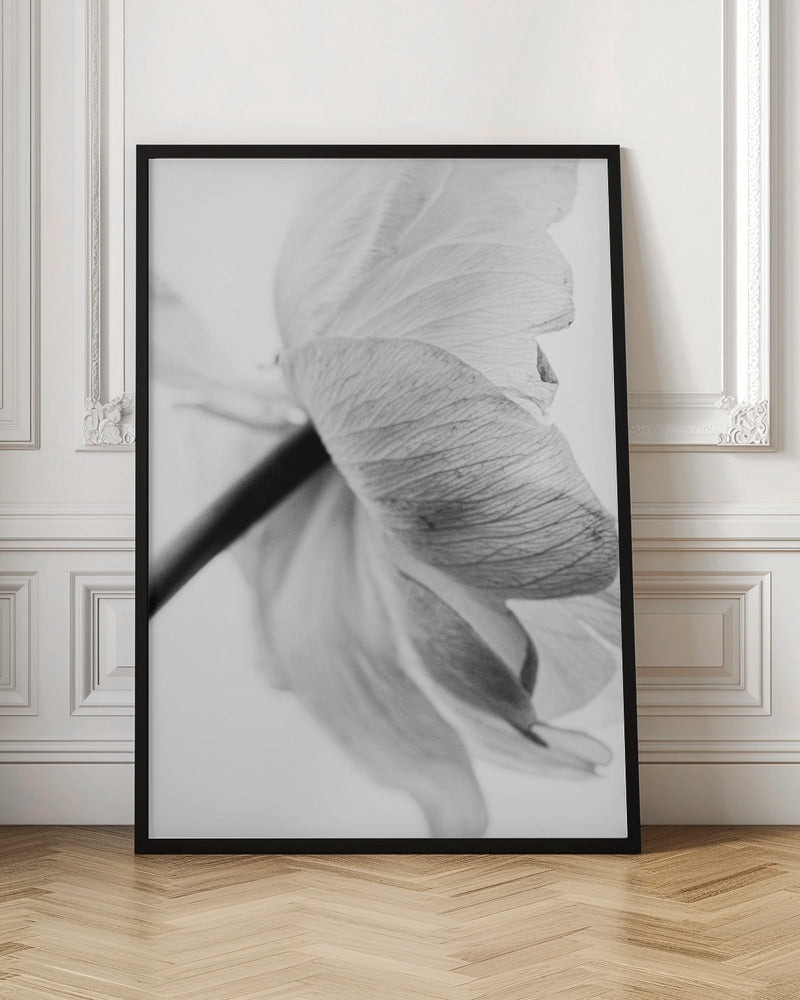 Décoration murale, toile imprimée fleur épanouie