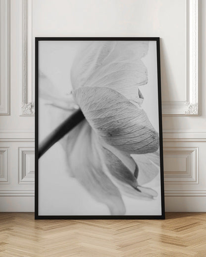 Décoration murale, toile imprimée fleur épanouie