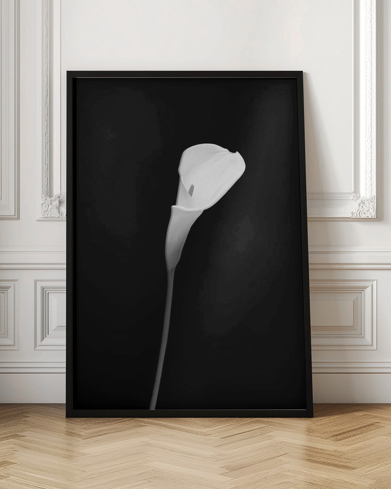 Décoration murale Calla | motif sombre