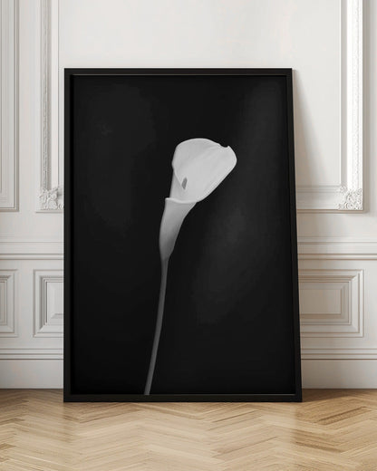 Décoration murale Calla | motif sombre