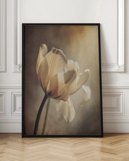 Art mural Tulipe pastel
