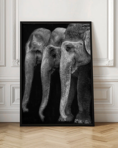 Art mural Le plus grand chef-d’œuvre de la nature, un éléphant ; la seule grande chose inoffensive…