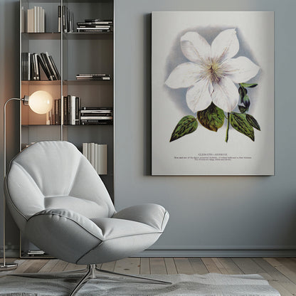 Lithographie murale fleur de clématite
