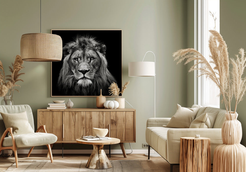 Art mural Impression sur toile jeune lion mâle
