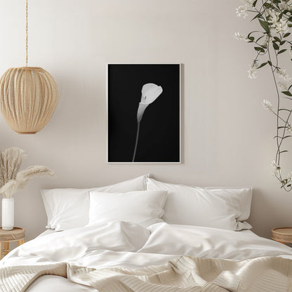 Décoration murale Calla | motif sombre