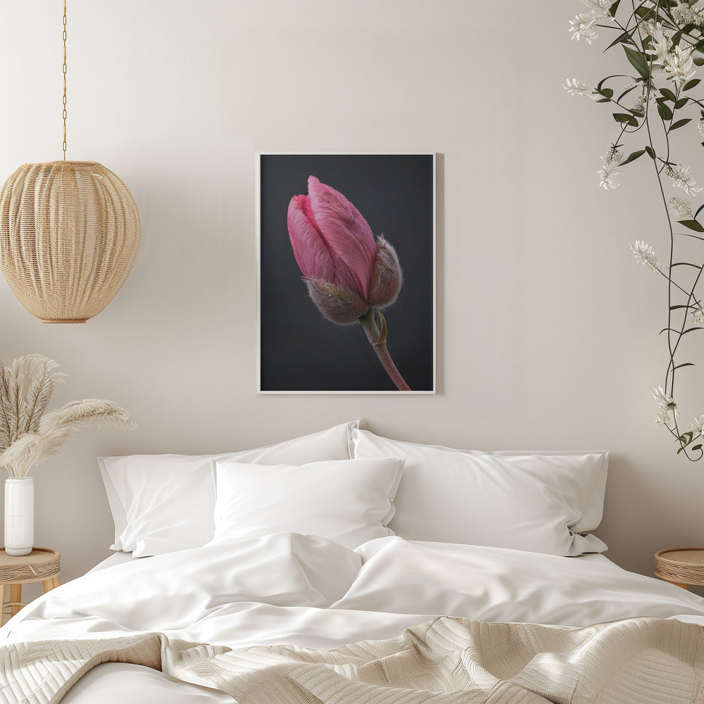 Art mural Tulipe Rose 1