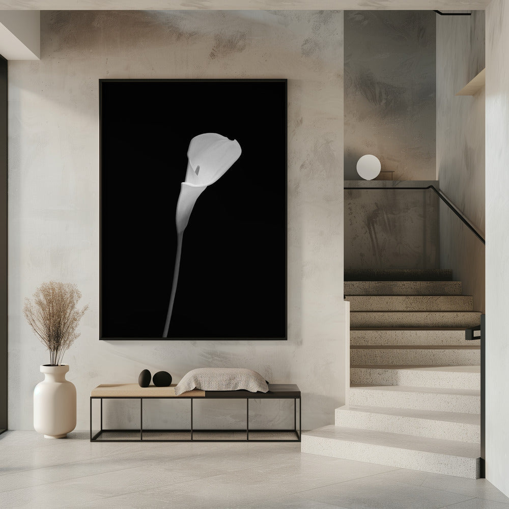 Décoration murale Calla | motif sombre