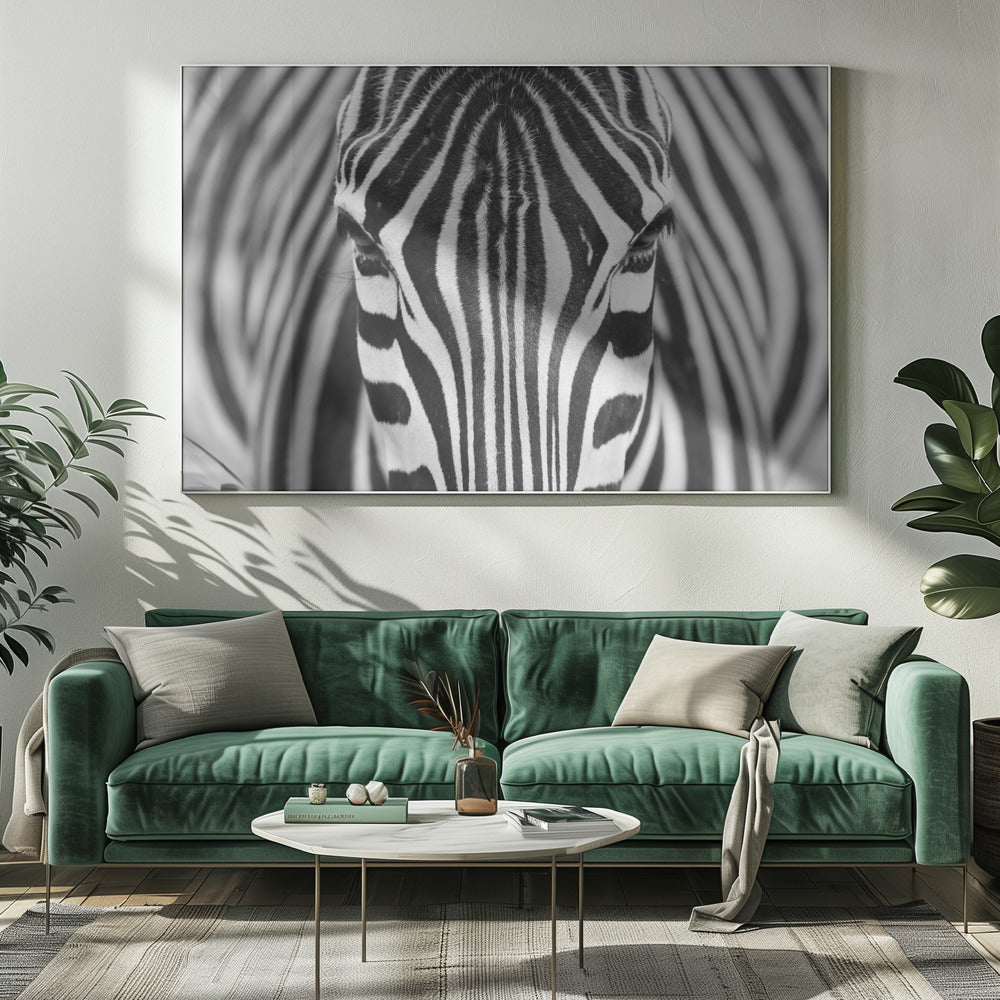 Décoration murale Zepra