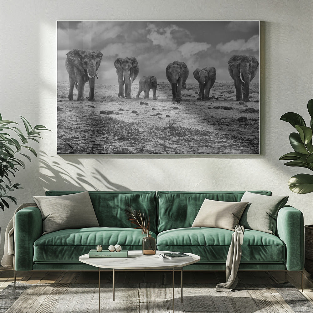 Décoration murale Grande Famille. Éléphants