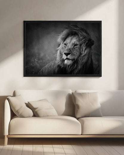 Décoration murale majestueuse. Lion