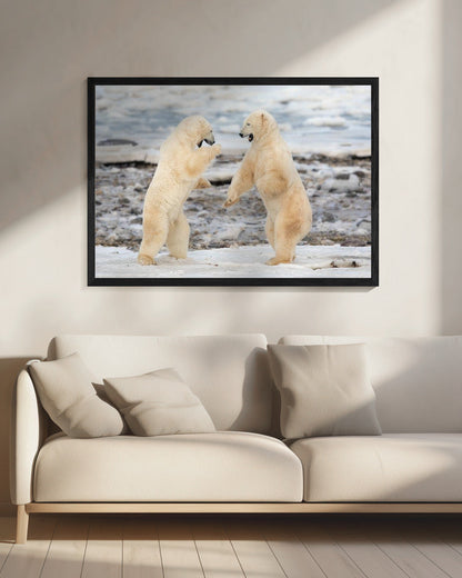 Wall art Fight !