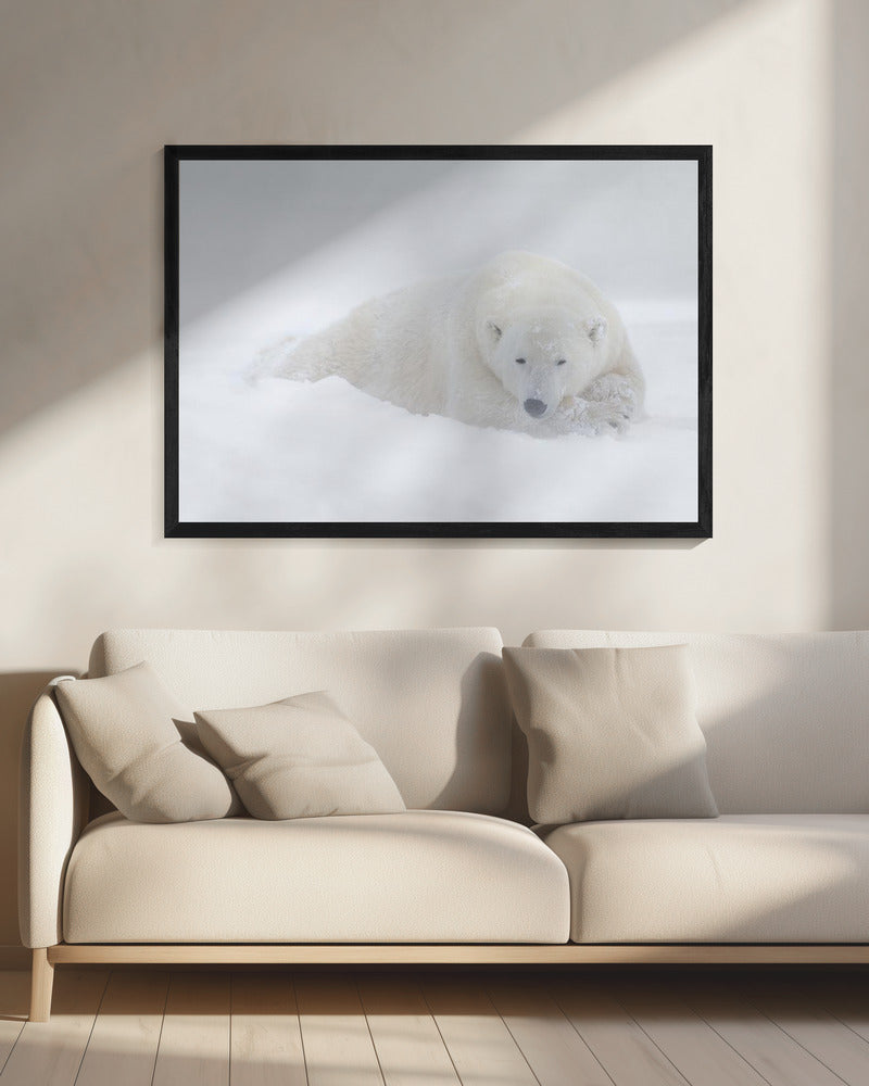 Art mural blanc