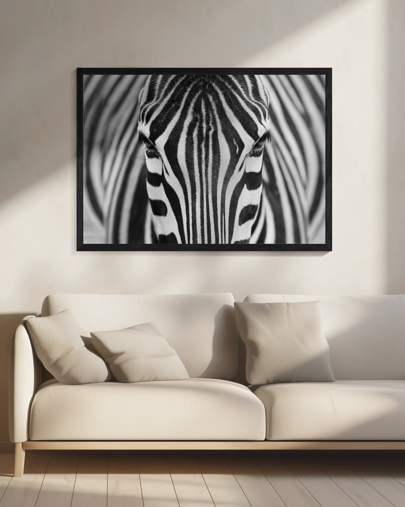 Décoration murale Zepra