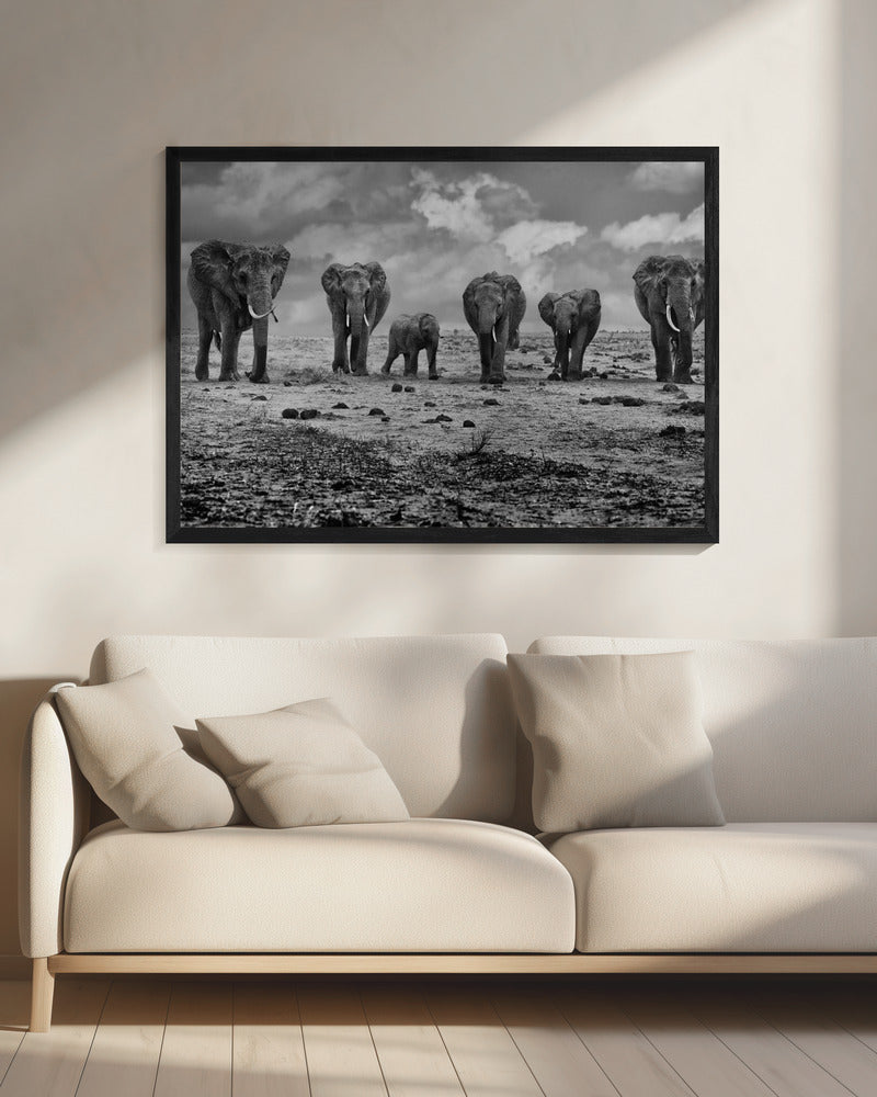 Décoration murale Grande Famille. Éléphants