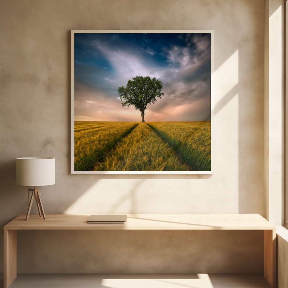 Décor mural Un