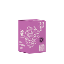 Pink Oyster Mushroom Kit