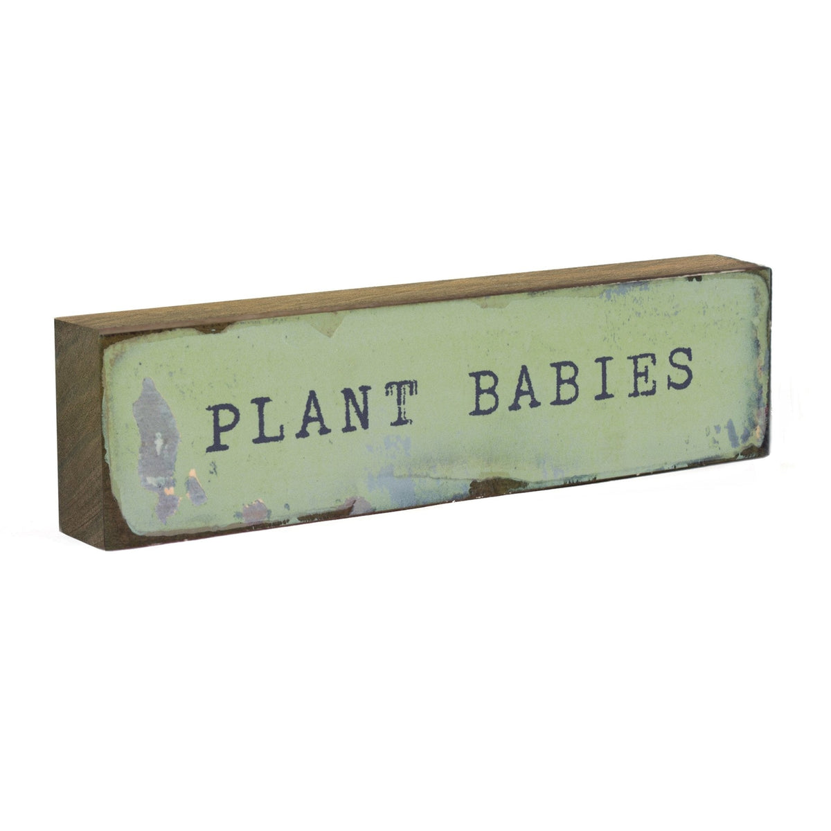 Timber Bit - Medium - Plant Babies