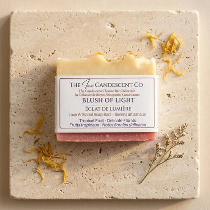 The Harmony & Light Discovery Bundle