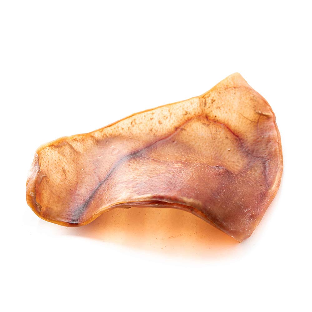 Oreille de porc