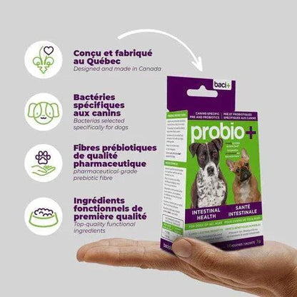 Solutions Probio – Prébiotiques et Probiotiques Naturels pour Chiens et Chiots