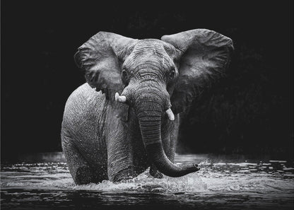 Art mural Power 1. Éléphant