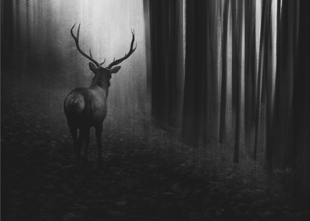 Art mural Cerf.