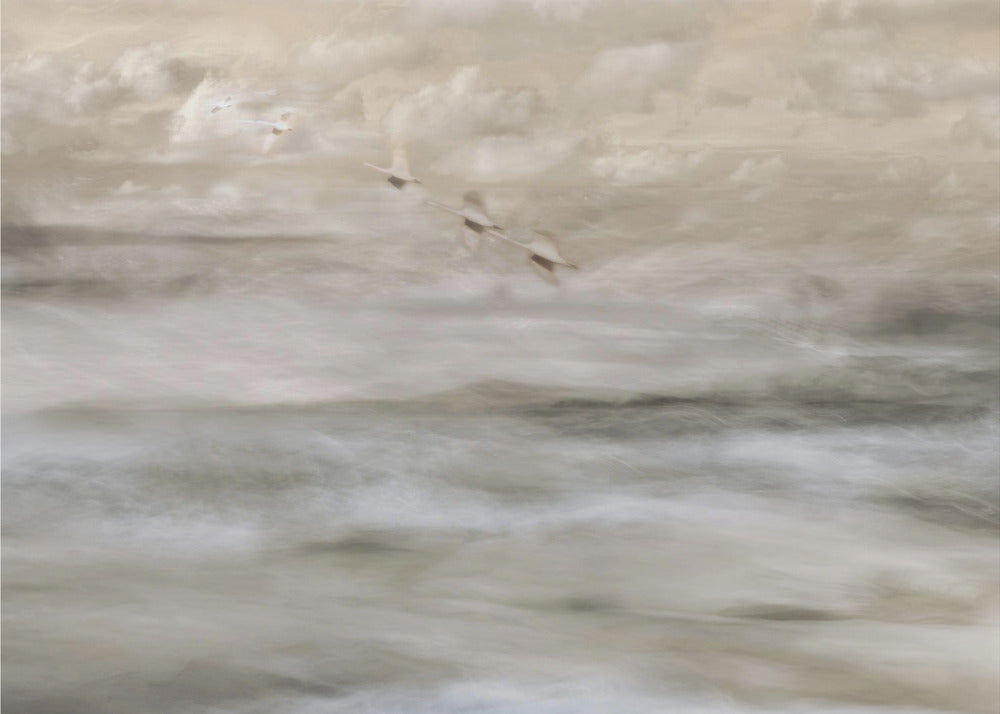 Art mural Cygnes sur la mer