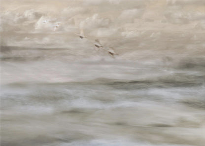 Art mural Cygnes sur la mer