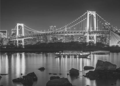 Décoration murale Magnifique pont arc-en-ciel avec la skyline de Tokyo en soirée - monochrome