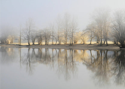 Art mural : Matin de janvier