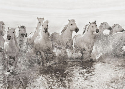 Décoration murale Illusion de puissance (13 chevaux seulement)