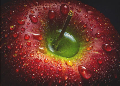 Décoration murale Pomme Rouge. Alimentaire